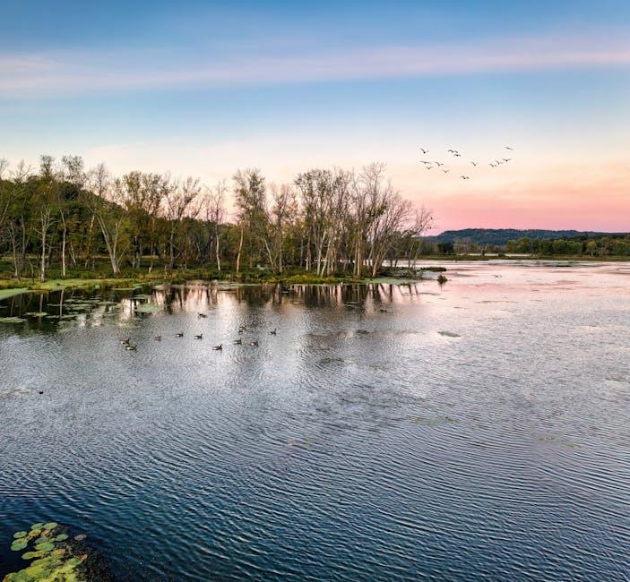 Economic Ripples and Their Role in Shifting Populations