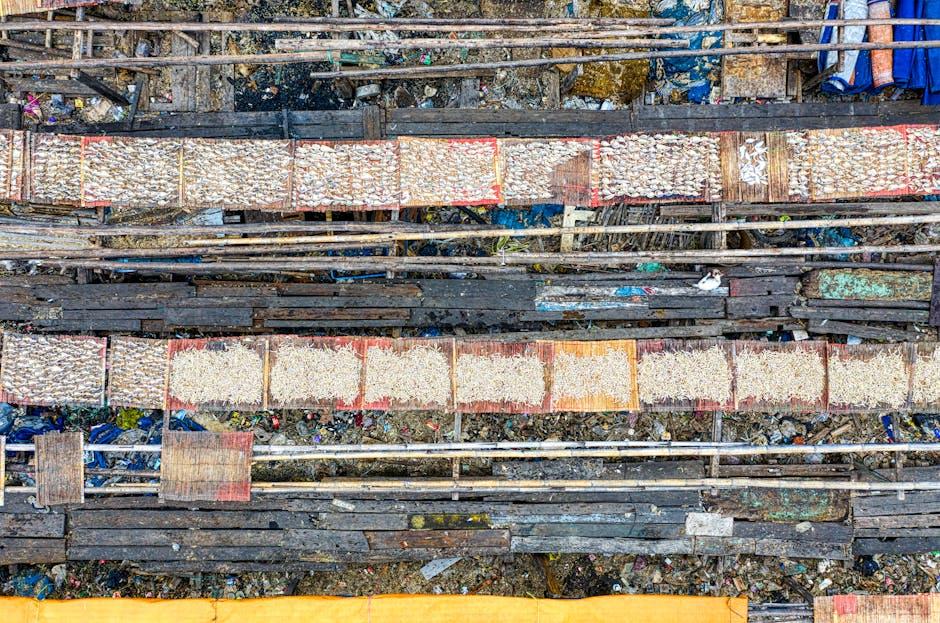 Crossing Borders: Exploring the Dynamics of Migration and Immigration 2 Navigating the Socioeconomic Impacts on Host Communities