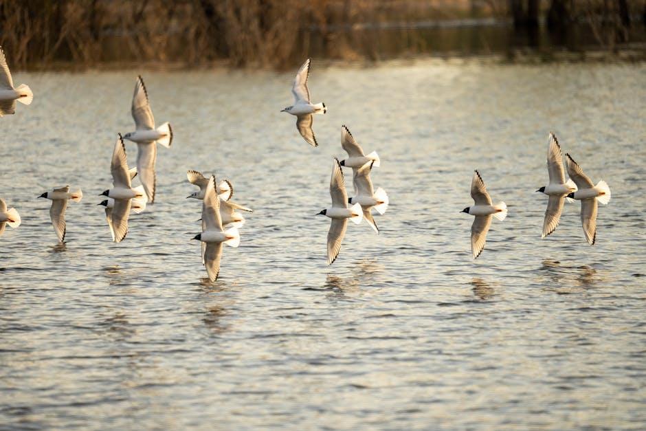 Challenges Faced by Migrants in Transit and Destination Countries