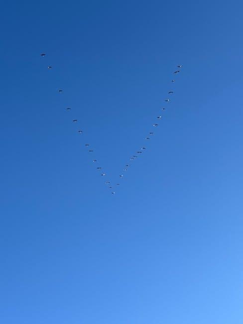 Waves Without Borders: Navigating the Flow of Global Migration 1 Understanding the Currents Shaping Global Migration Patterns