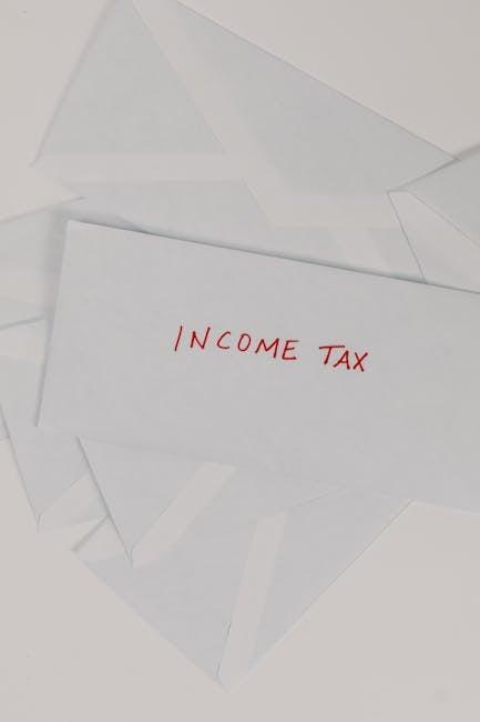 Navigating Life as an American Dual Citizen: Rights and Realities 2 Balancing Tax Obligations Across Two Nations