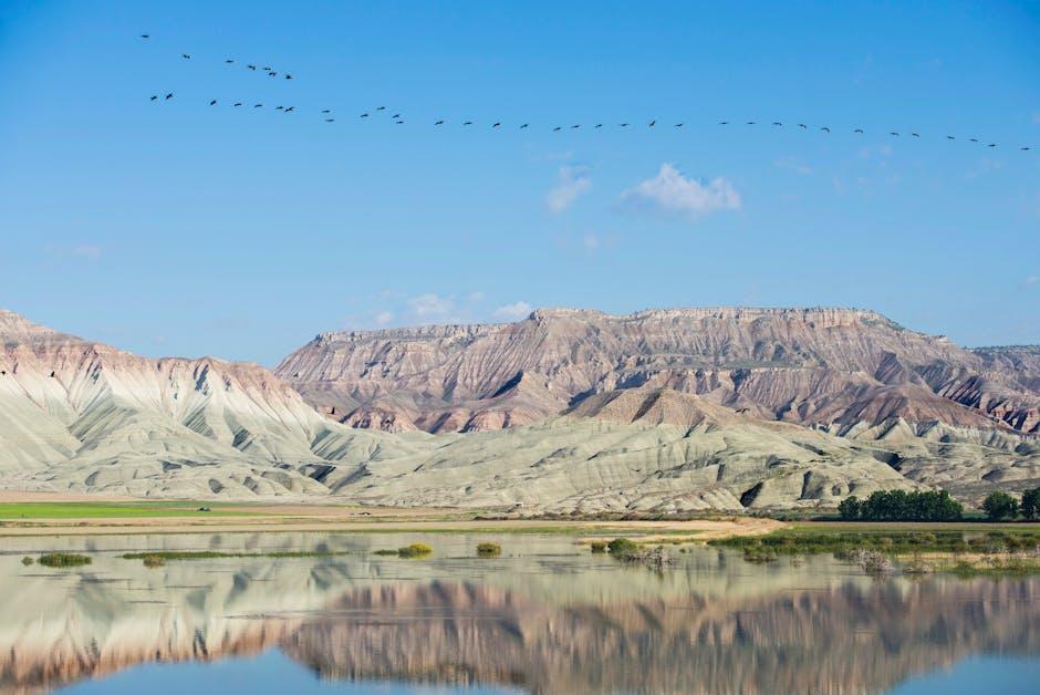 Navigating Legal Landscapes and Policy Challenges