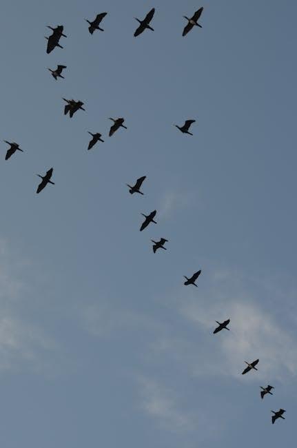 Emerging Trends Influencing Global Migration Patterns