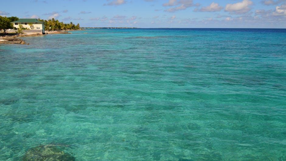 Unlocking Opportunities: Exploring Commonwealth of Dominica Citizenship 2 Navigating the Application Process with Confidence and Clarity