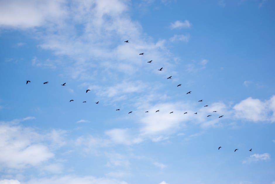 The Evolution of Migration Patterns in the 21st Century