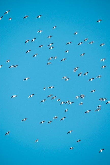 Understanding the Drivers Behind Global Migration Patterns