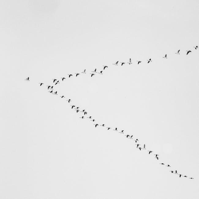 Understanding the Roots of Migration Patterns