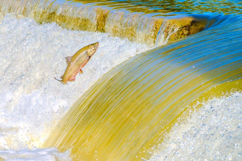 Crossing Borders: The Patterns and Impact of Global Migration 1 Understanding the Historical Flow of Migration Across Continents