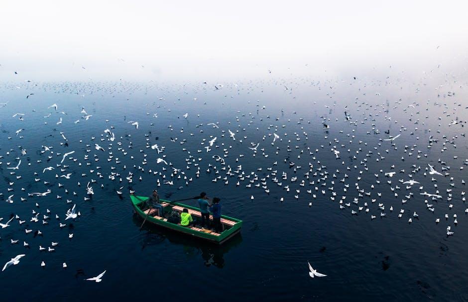 Tracing the Routes and Realities of Migrant Journeys