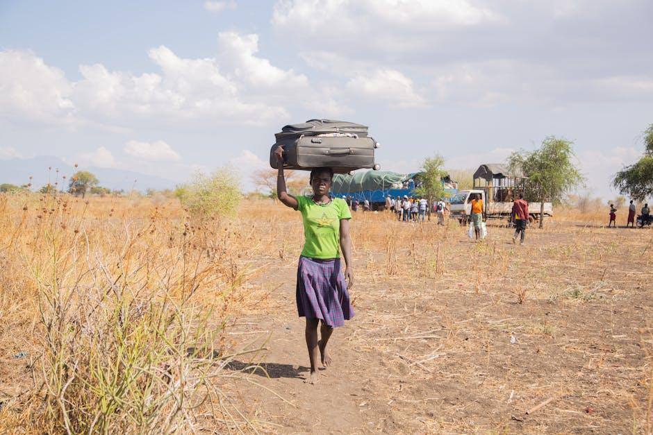 Navigating the Socioeconomic Impacts on Host and Origin Countries