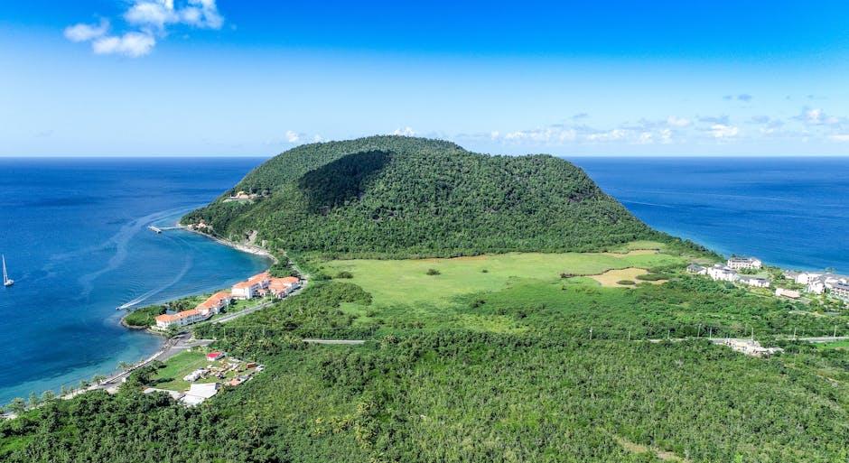 Unlocking Opportunities: Commonwealth of Dominica Citizenship Guide 1 Understanding the Pathway to Commonwealth of Dominica Citizenship