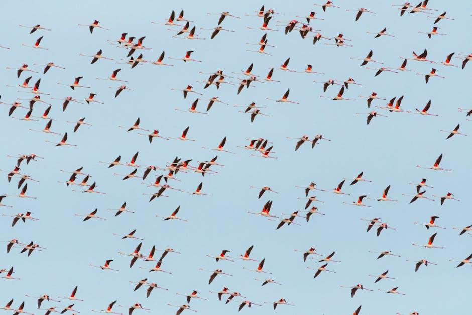 Understanding the Root Causes Behind Global Migration Patterns