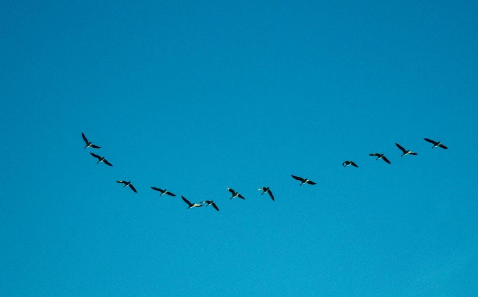 Understanding the Current Patterns of Global Migration