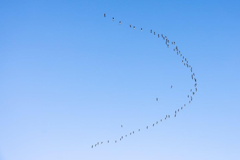 Economic Ripples and the Quest for Opportunity