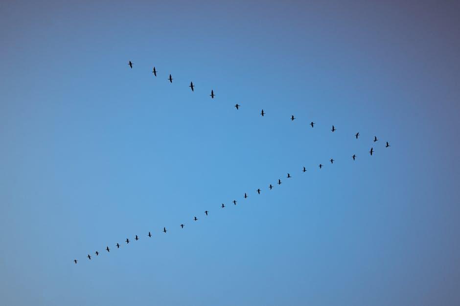 Winds of Change in Global Migration Patterns