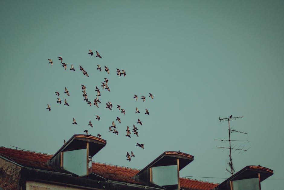 Rethinking Migration Architecture Through Data-Driven Performance Insights