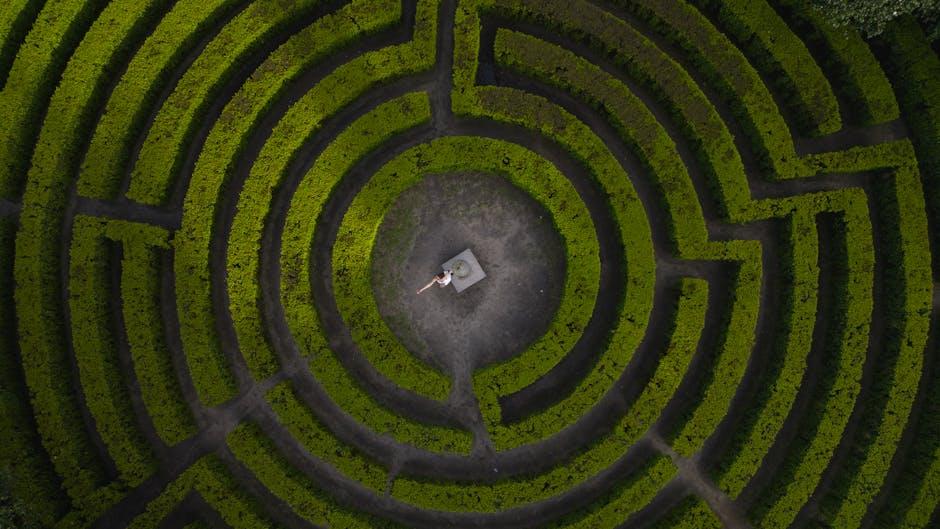 Navigating Two Worlds: The Complex Journey of Being an American Dual Citizen 2 When Laws Collide The Legal Maze of Dual Citizenship