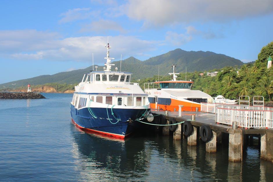 Beyond Borders The Complex Realities and Oversights of Dominica’s Passport Perks