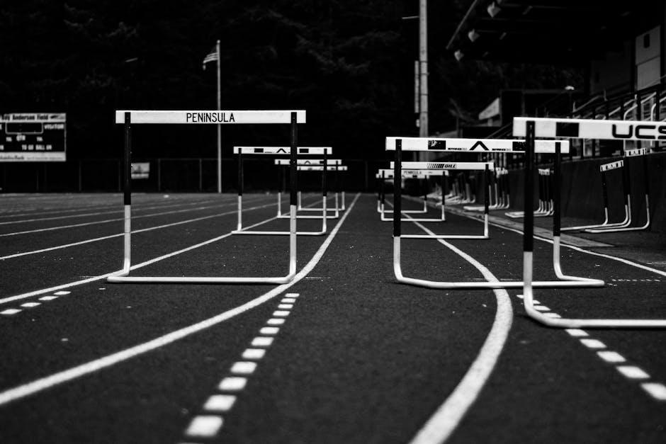 Beyond Borders: Navigating the Complex Journey and Unexpected Realities of Second Citizenship 2 When Aspirations Meet Bureaucracy: Unseen Hurdles in Gaining Second Citizenship