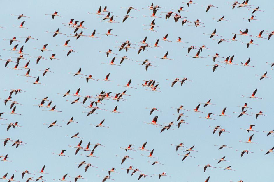 Rethinking Migration Narratives Beyond Crisis and Boon