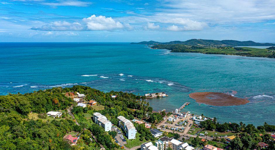 The Untold Complexities Beneath Commonwealth of Dominica Citizenship’s Global Appeal