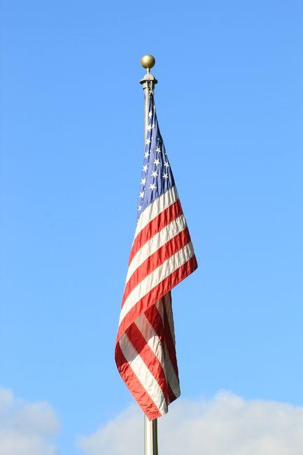 Balancing Rights and Duties in Dual National Allegiance