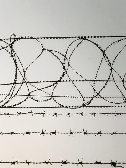 Rethinking Open Borders through the Lens of National Security and Economic Stability