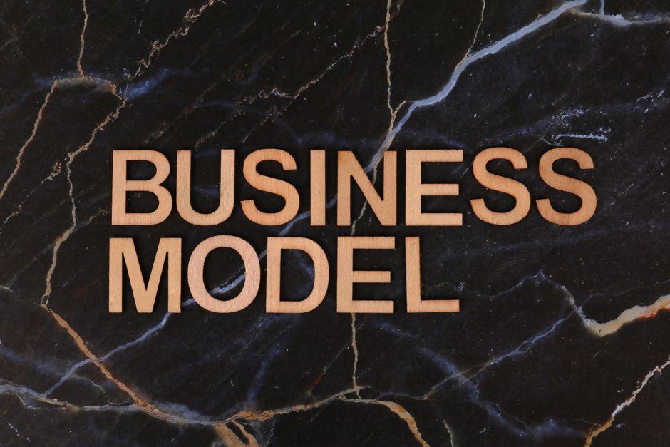Assessing Structural Foundations and Process Dynamics in Business Immigration Models