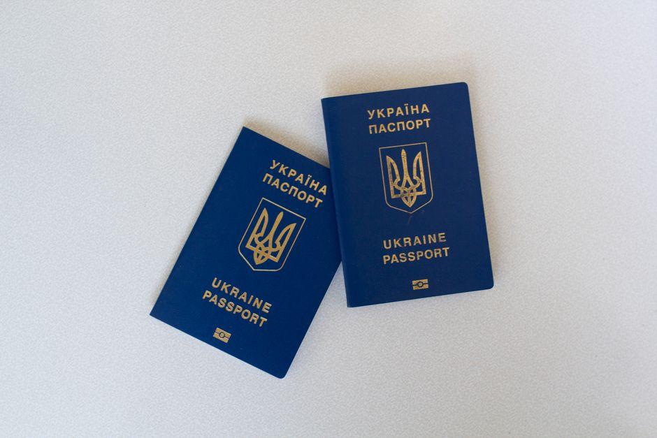 Understanding Double Nationality: What It Means, Benefits, and Key Considerations Explained 2 What Advantages Come with Embracing Double Citizenship