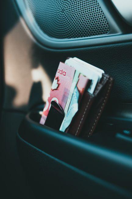 Exploring the Benefits and Challenges of Citizenship by Investment