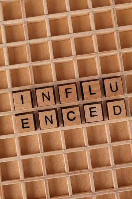Why Immigration Consultants Often Define Your Journey More Than Your Visa Does 1 The Unseen Influence of Immigration Consultants Beyond Visa Approval