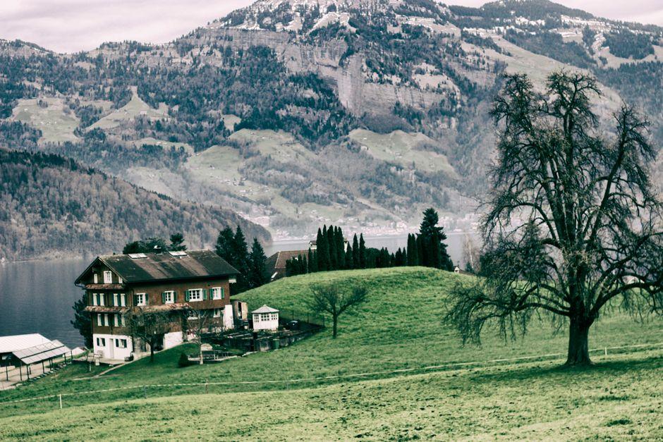 From Dreams to Doorways: Navigating the Path to Swiss Citizenship by Investment 2 Overcoming Obstacles Common Challenges on the Journey to Swiss Residency