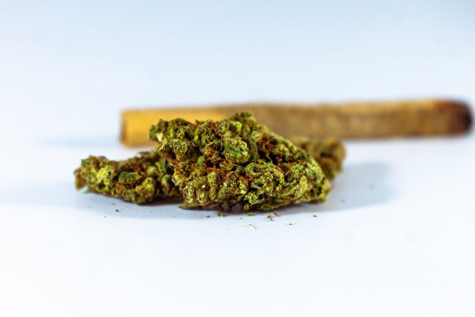 Navigating the Journey: Understanding Joint Citizenship Today