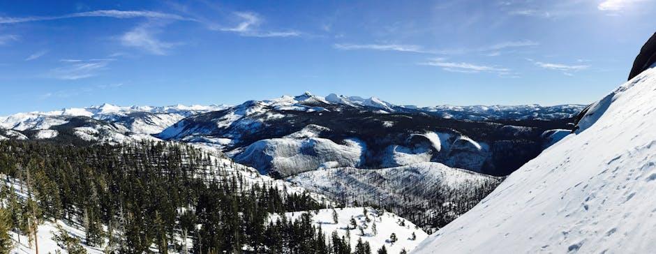 Navigating Passports: The Journey of Dual Nationality Rights