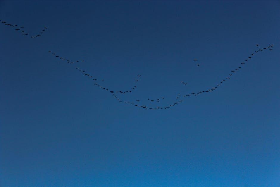 Bridging Borders: Exploring the Paths of Migration and Immigration