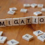 Navigating New Beginnings: Understanding the Immigration Process