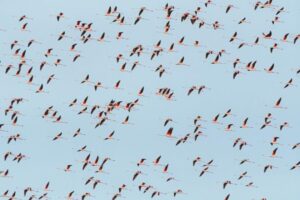 Borders in Motion: Rethinking Global Migration Beyond Crisis Narratives