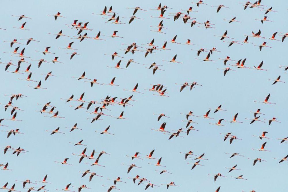 Borders in Motion: Rethinking Global Migration Beyond Crisis Narratives