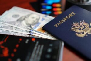 Optimizing Immigration Express Systems: Evaluating Performance, Accuracy, and Workflow Integration for Streamlined Processing