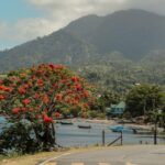 Why Dominica Citizenship Is the Caribbean’s Most Underrated Passport Powerhouse