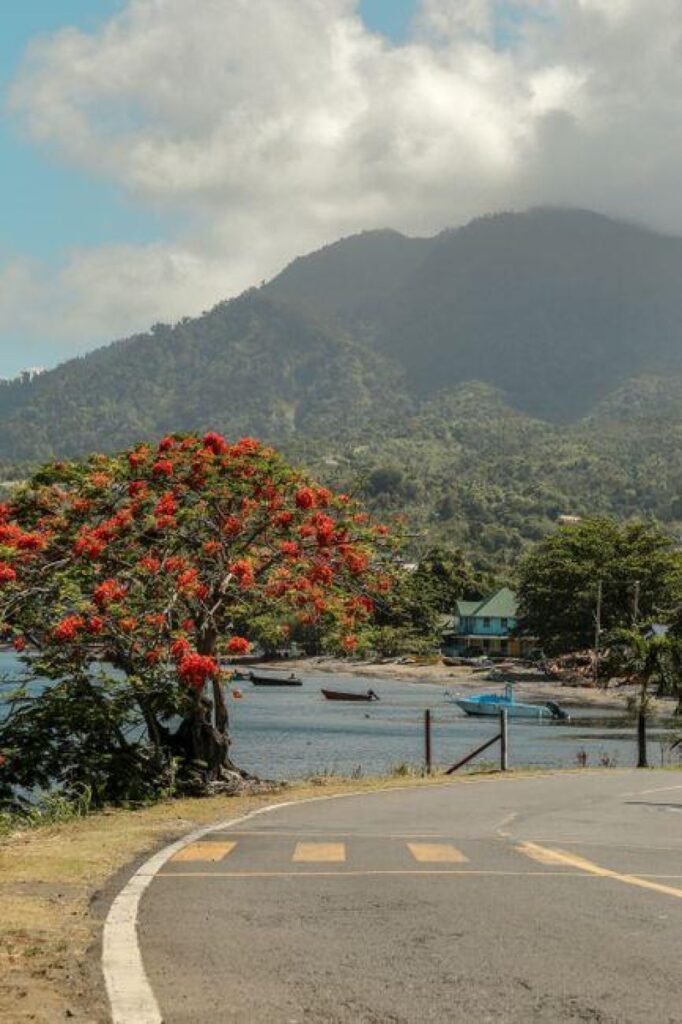 Why Commonwealth of Dominica Citizenship Outsmarts Traditional Passports in a Globalized World