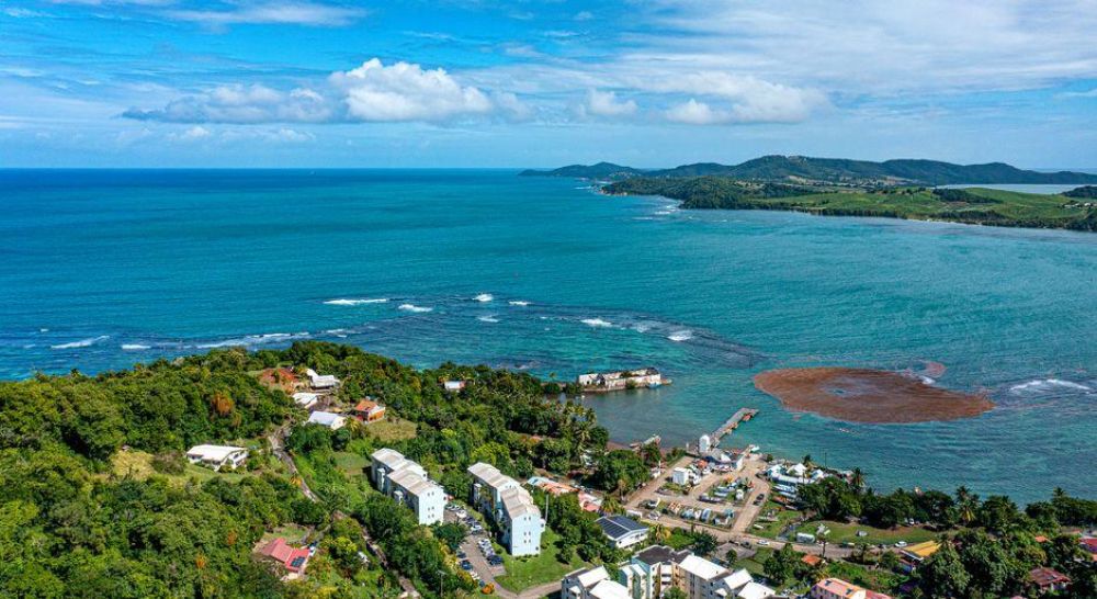 Why Commonwealth of Dominica Citizenship Is the Strategic Passport Global Elites Overlook at Their Peril