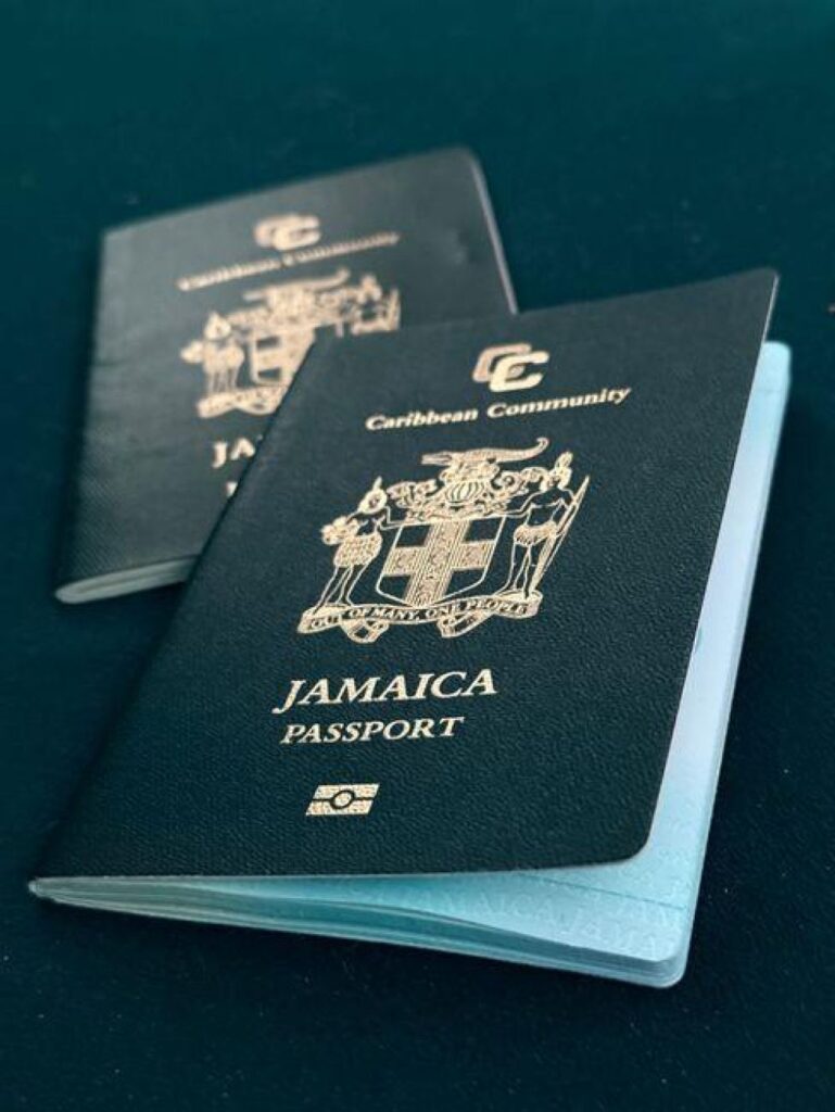 Between Two Worlds: Navigating Identity and Belonging in the Life of Dual Nationals