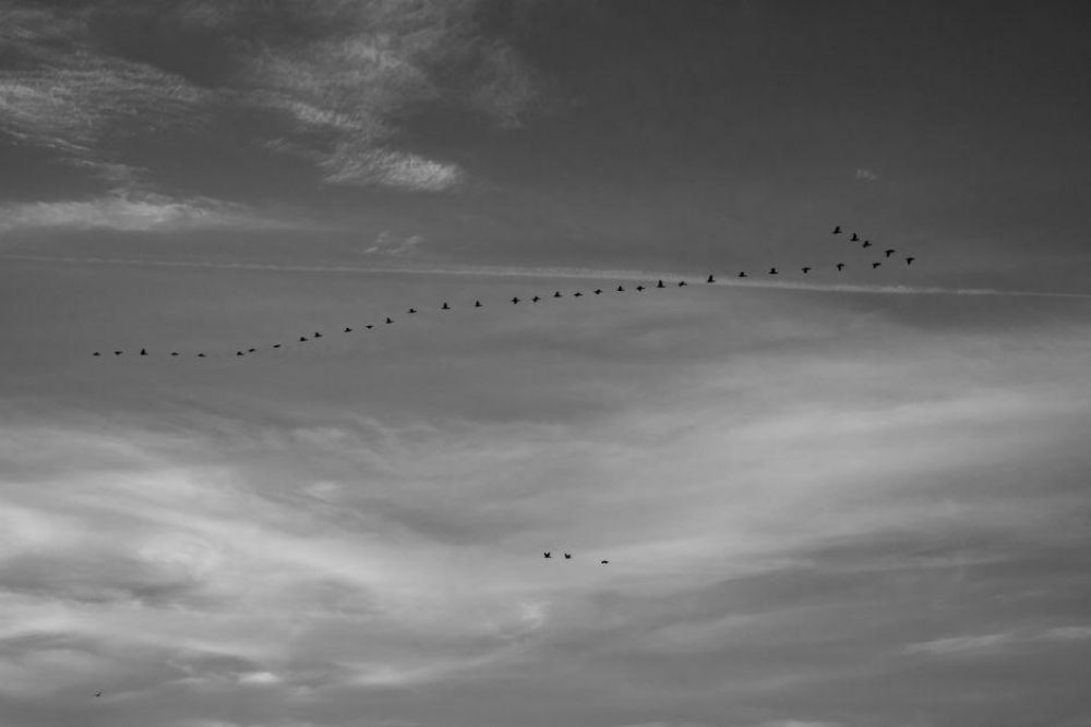 Borders in Motion: Why Global Migration Is Rewriting the Rules of Belonging