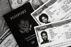 Optimizing Business Immigration Strategies: A Comparative Analysis of Regulatory Frameworks, Selection Criteria, and Operational Efficiency