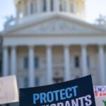 Navigating New Shores: Understanding the Immigration Process