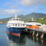 Why Dominica Citizenship Outshines Traditional Passports in a Globalized World
