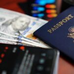 Optimizing Immigration Express Systems: Evaluating Performance, Accuracy, and Workflow Integration for Streamlined Processing